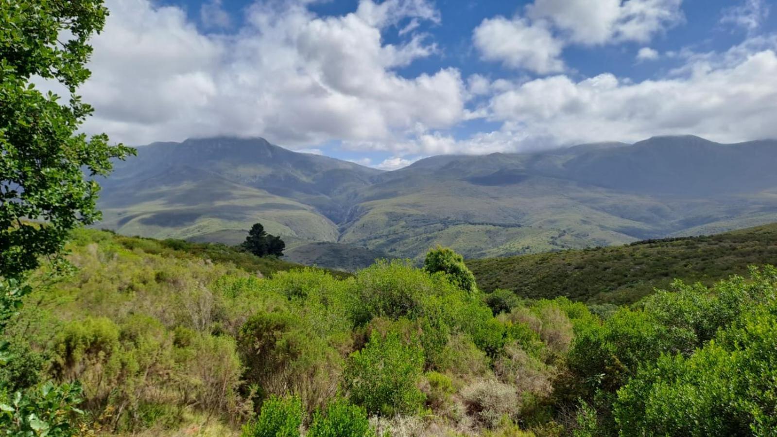 海德堡Akasha Mountain Retreat, New Location别墅 外观 照片