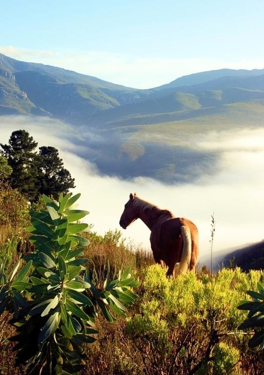 海德堡Akasha Mountain Retreat, New Location别墅 外观 照片