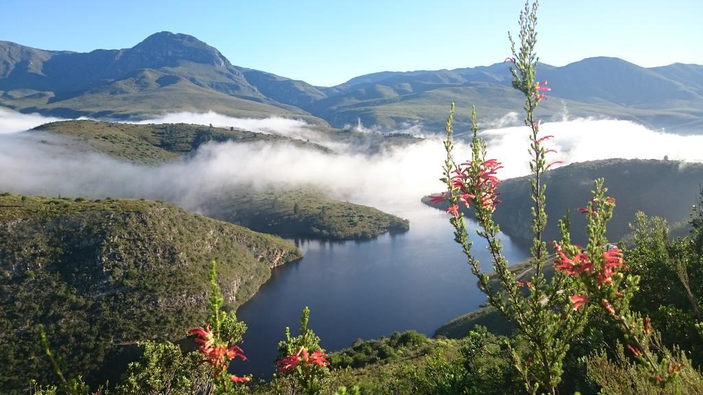 海德堡Akasha Mountain Retreat, New Location别墅 外观 照片